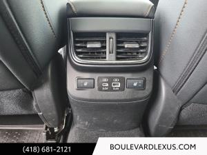 Miniature 19 Subaru Outback Wilderness TI 2024