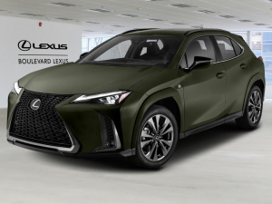 2024 Lexus UX UX 250h CVT - Image 1