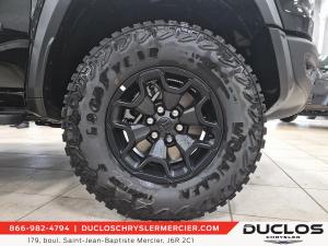 Miniature 11 RAM 1500 Rho 2027