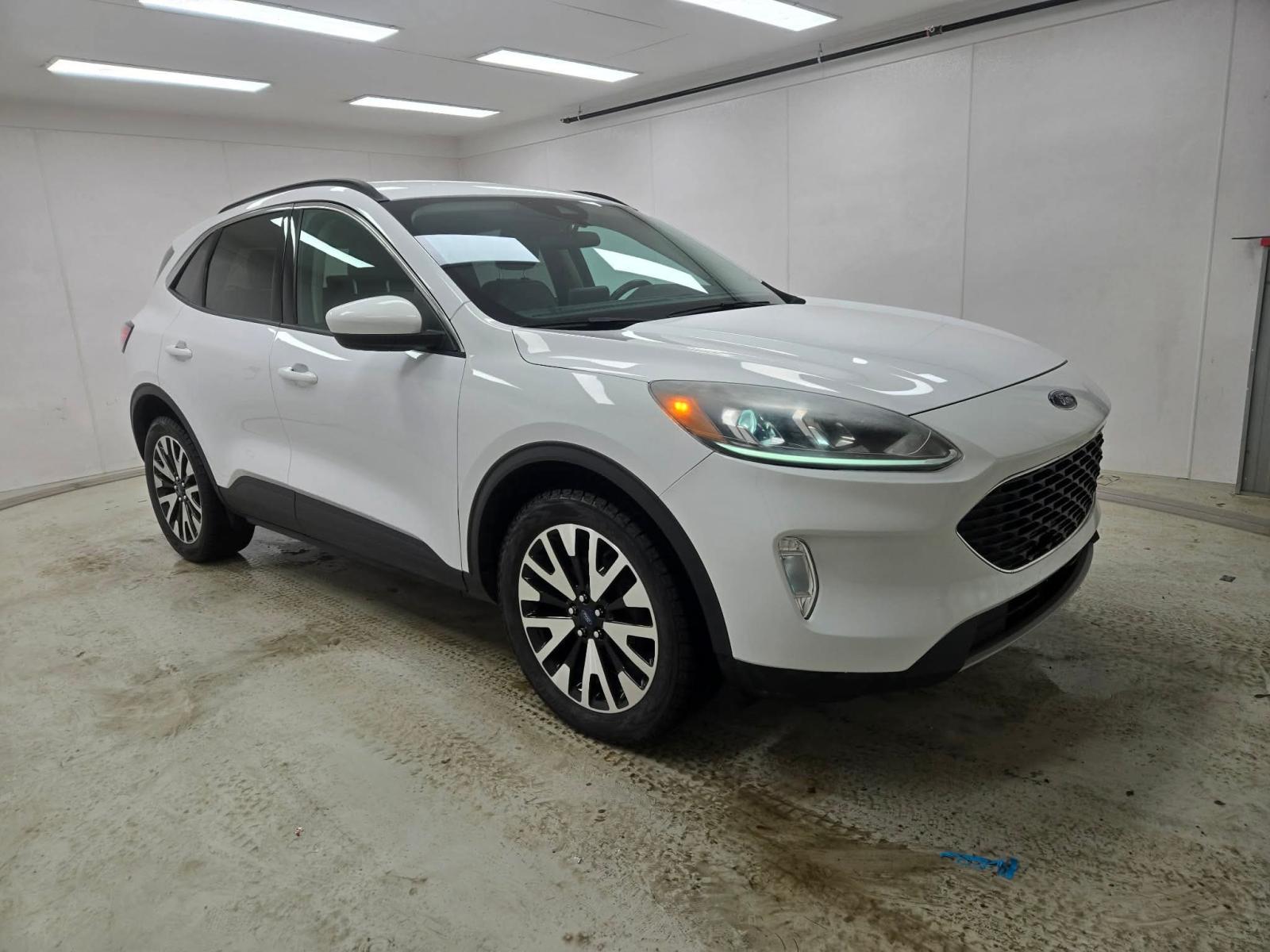 Ford Escape SEL 2020 — photo 3