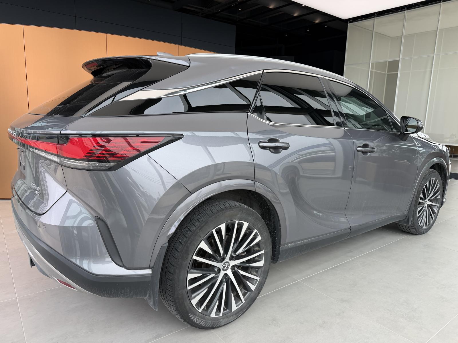 Lexus RX350 Luxury 2023 — photo 6
