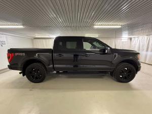 Miniature 5 Ford F150 XLT 2022
